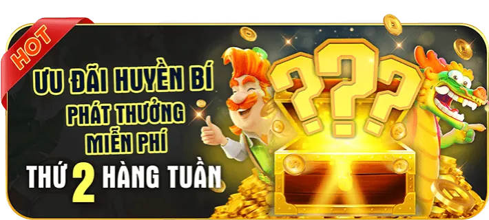 Hoàn trả DKbet8