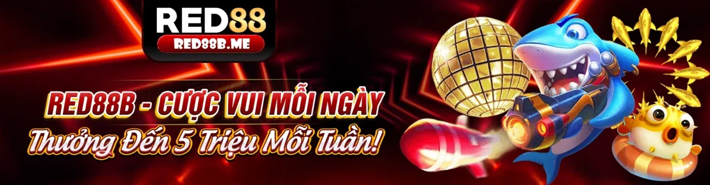 Khuyến mãi DKbet8 2026
